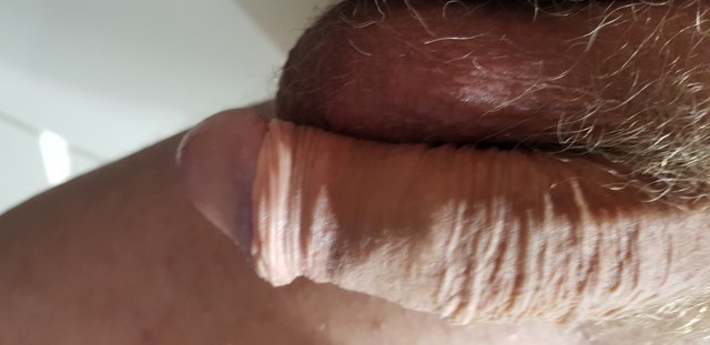 wojkon1
