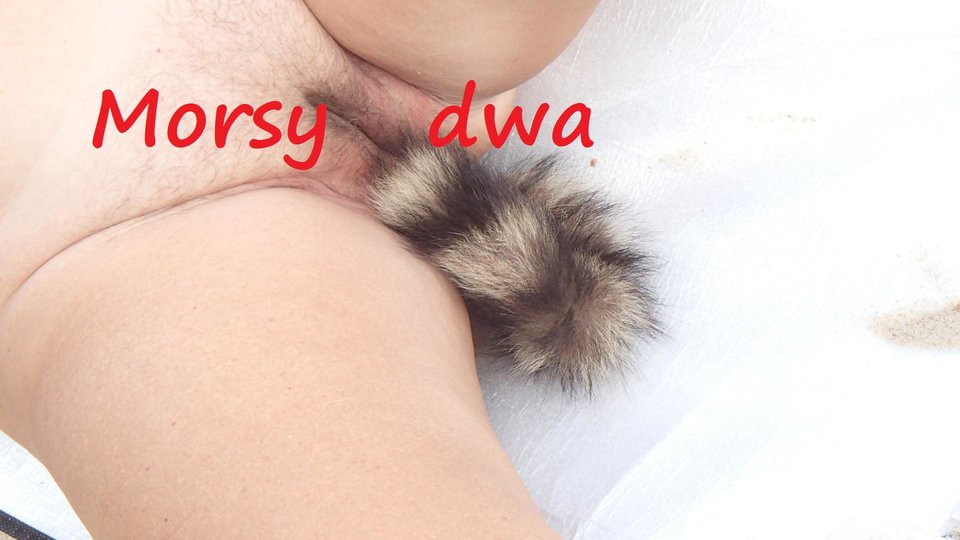 Na plaży 08 2018. - Morsy_dwa