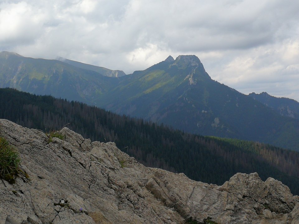 IMG_20180812_121113.jpg - faroamon6971