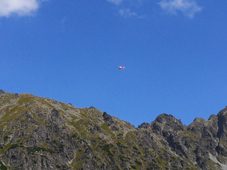 IMG_20180812_145216.jpg - faroamon6971