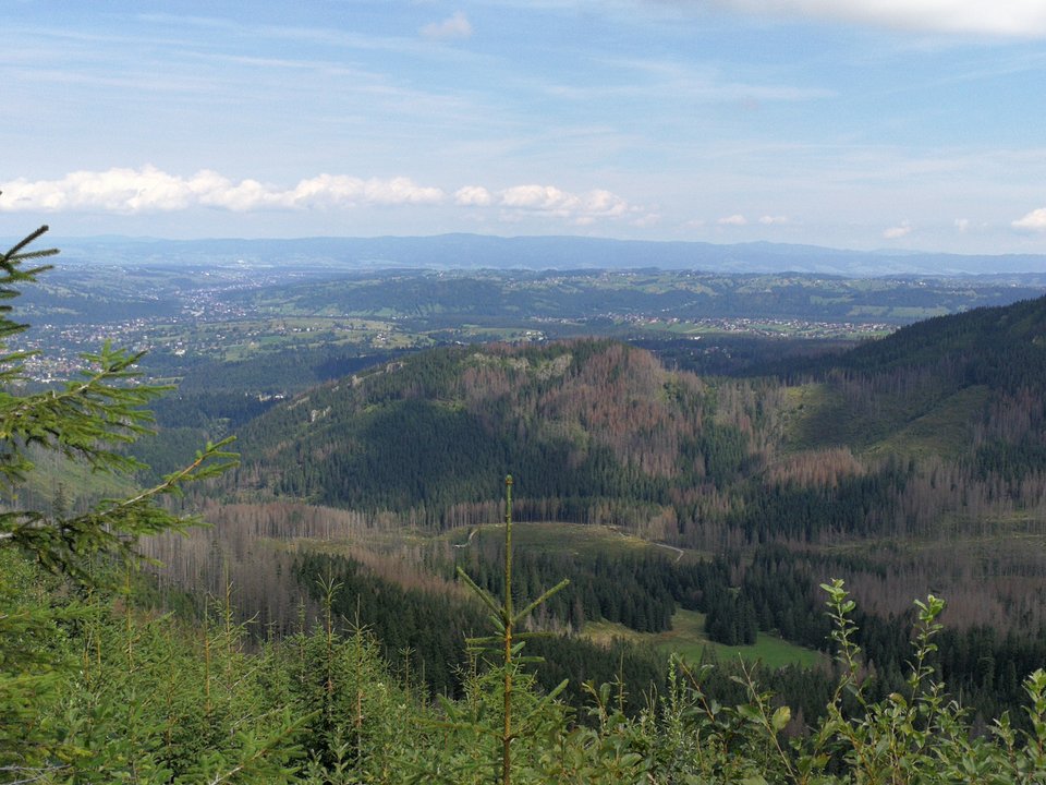 IMG_20180812_112503.jpg - faroamon6971