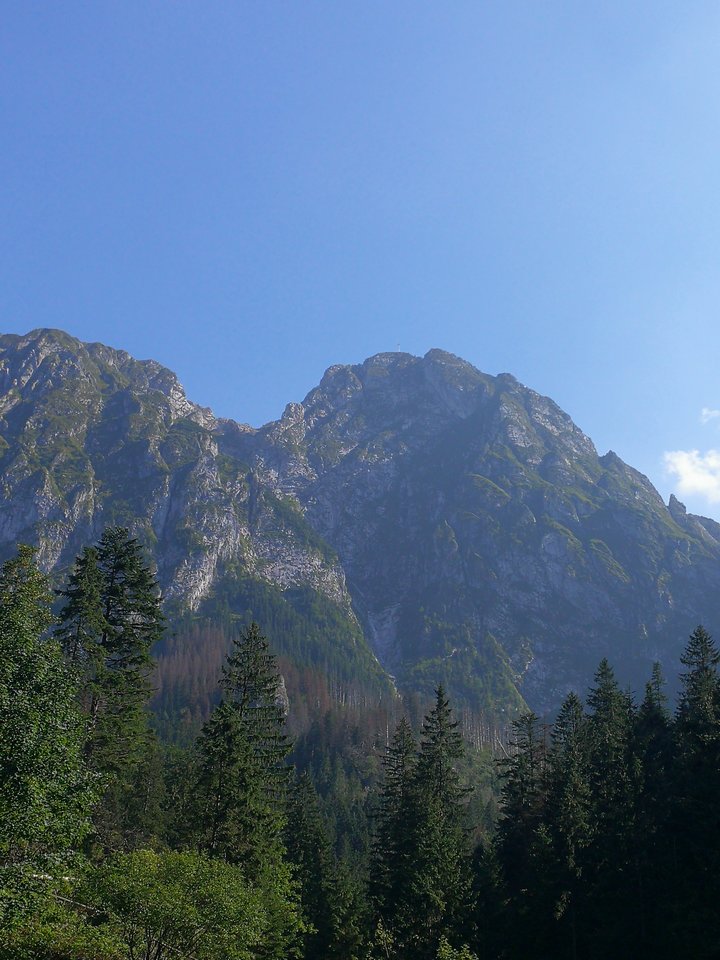 IMG_20180813_154753.jpg - faroamon6971