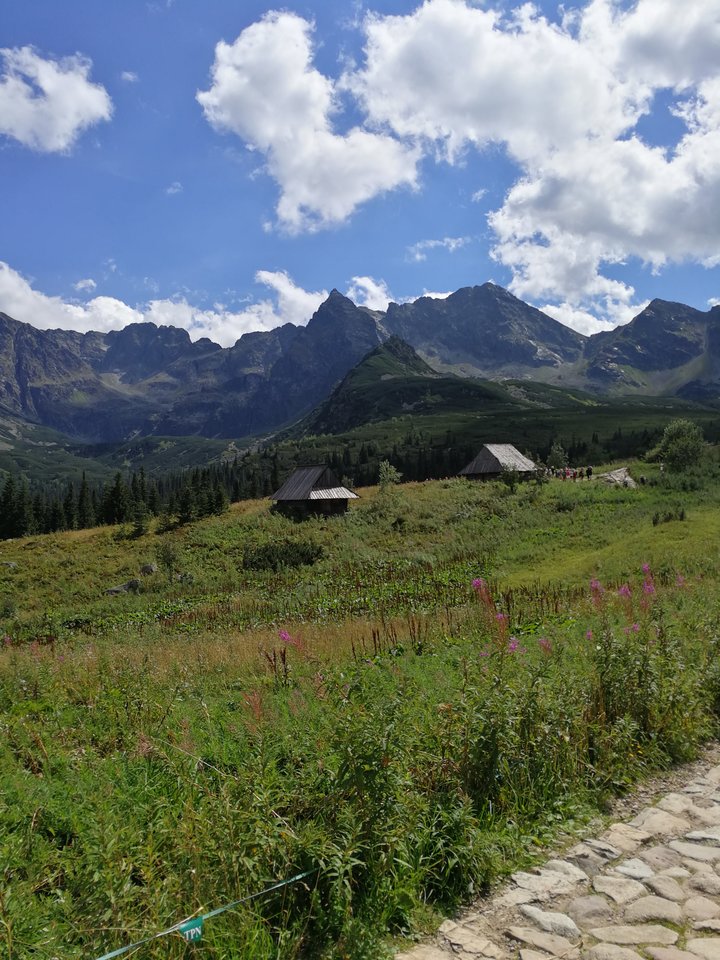 IMG_20180812_140329.jpg - faroamon6971