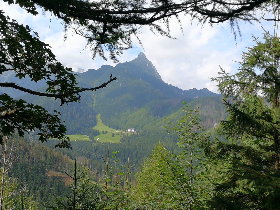 IMG_20180812_104251.jpg - faroamon6971