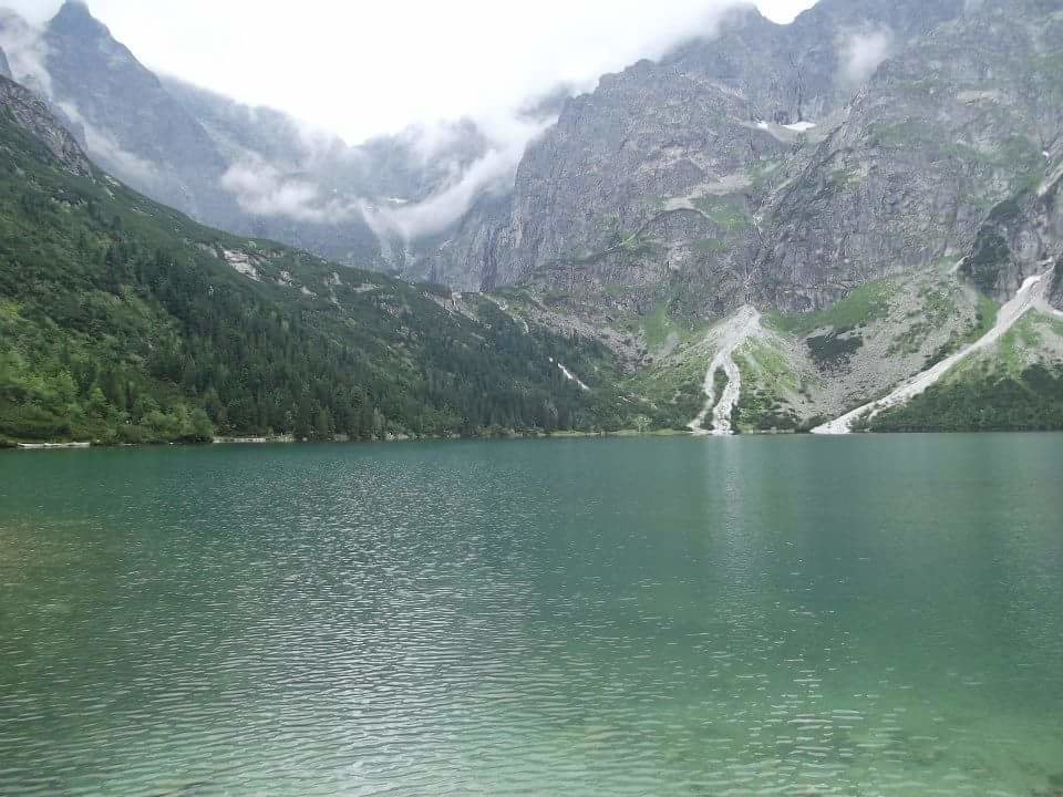 FB_IMG_1534586775123.jpg - faroamon6971