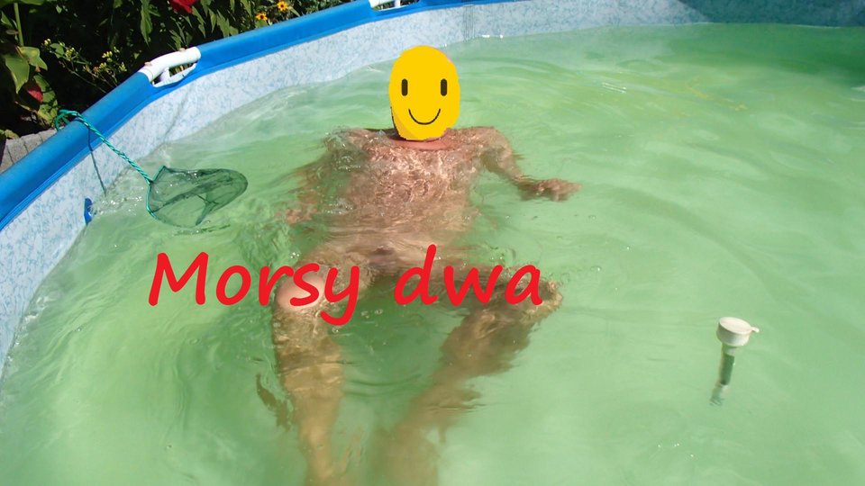 4 x uśmiech. - Morsy_dwa