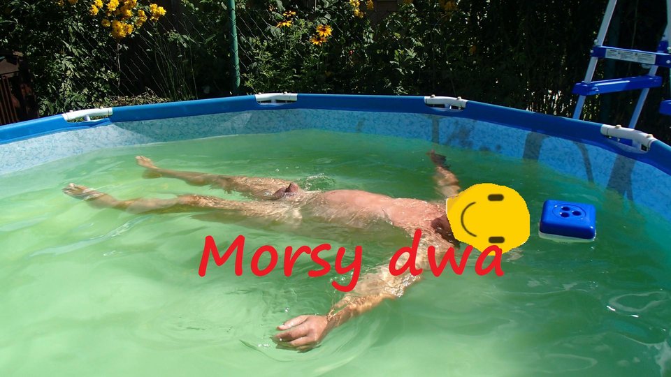 4 x uśmiech. - Morsy_dwa