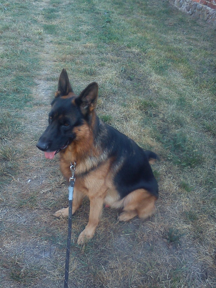 wariat.jpg - ObywatelNikt