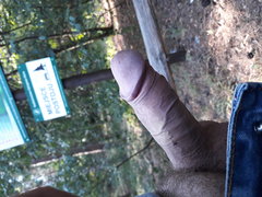 20180819_161242.jpg