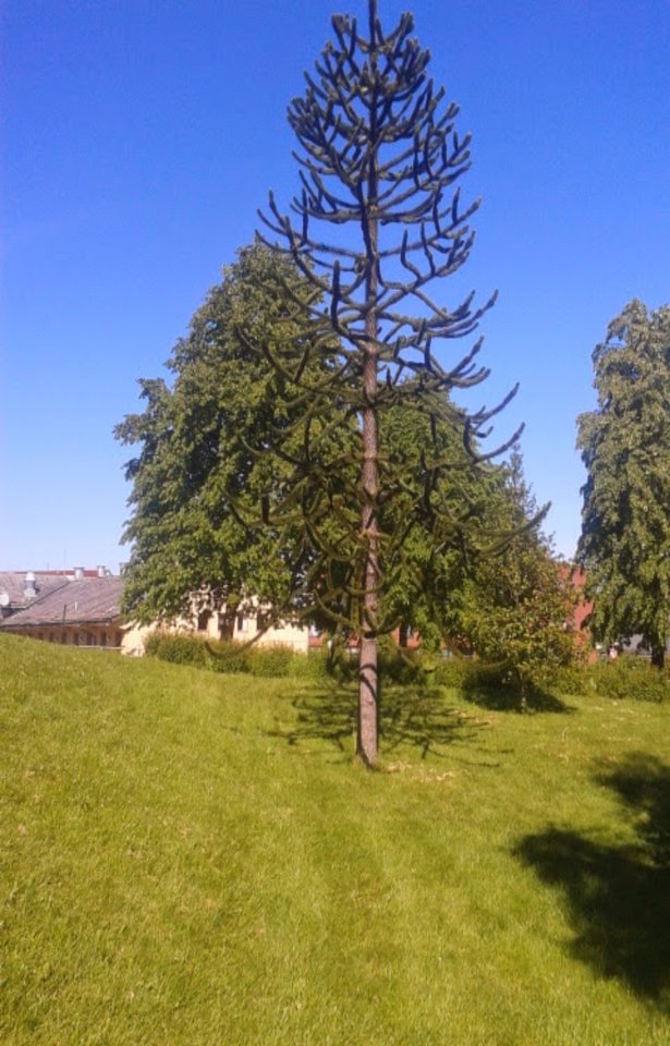 Resize Image_1534823997693.jpg - anielski61