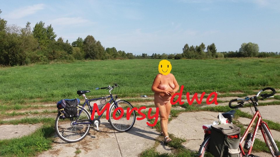 Na łączce. - Morsy_dwa