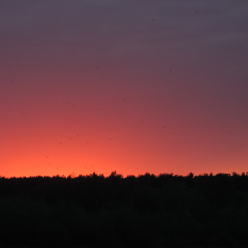 DSCN0227.JPG - pele2345