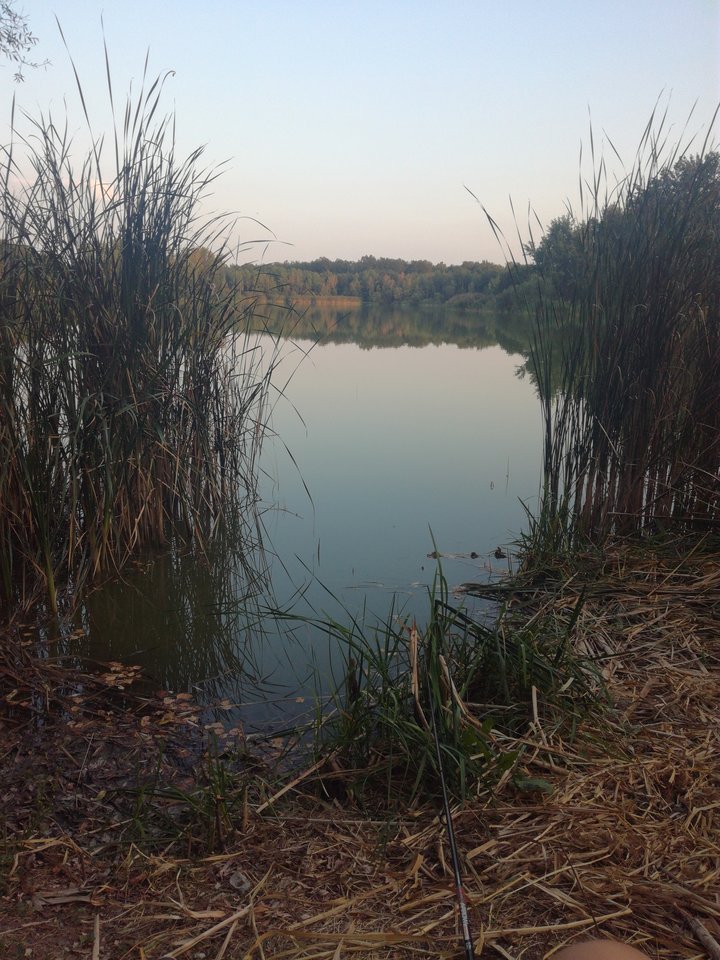 15349580539121616682497.jpg - Losmentos