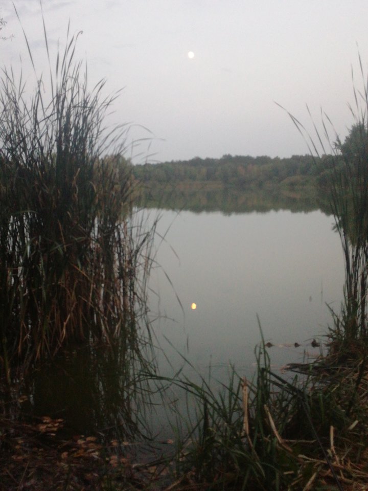 1534961469069166900591.jpg - Losmentos