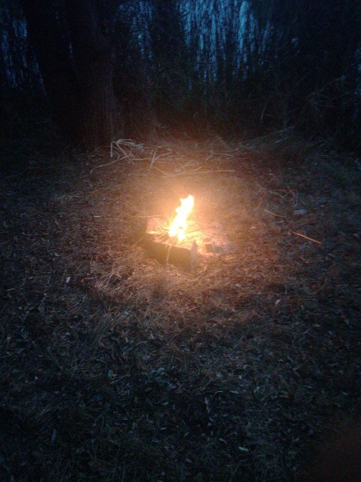 15349622534541550716830.jpg - Losmentos