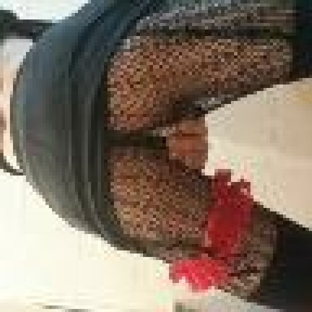 15333805822000.jpg - JowitaCD222