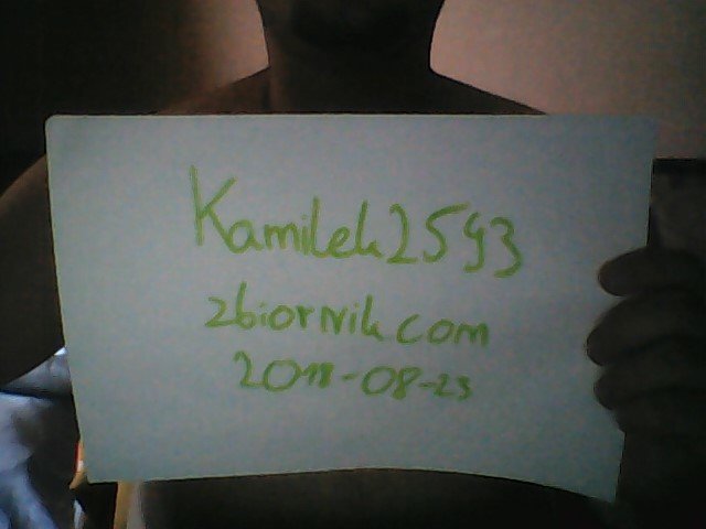kamilek2593
