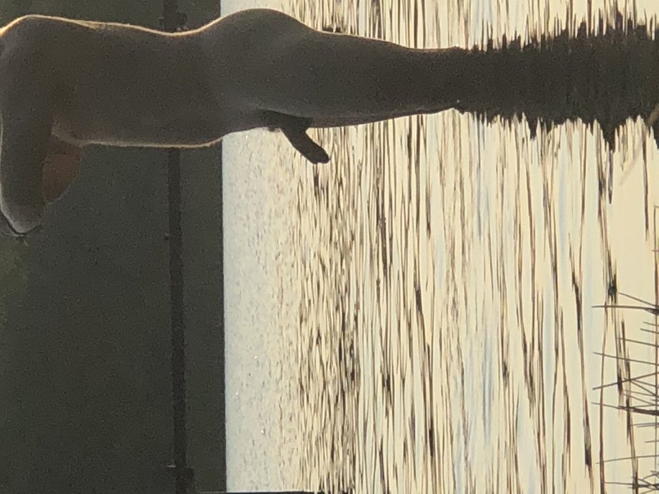 1CA42D40-BDF6-4CC1-813A-D6BECB2F6A57.jpeg - 127mariuszek