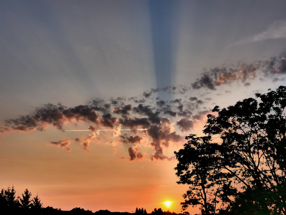 P1050345a.jpg - FoKam431