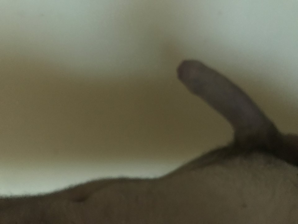 5756D41D-F59D-418F-B94B-7F39A0A07662.jpeg - bob74budowniczy