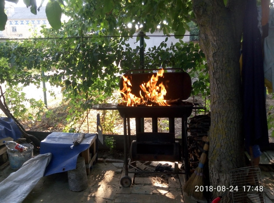 P80824-174854.jpg - MomusUA