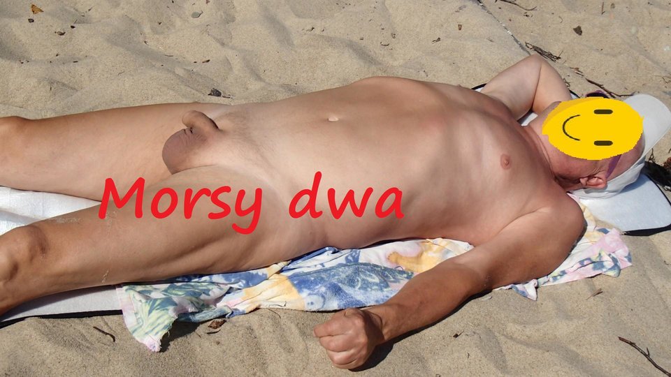 M O R S na słoneczku - Morsy_dwa