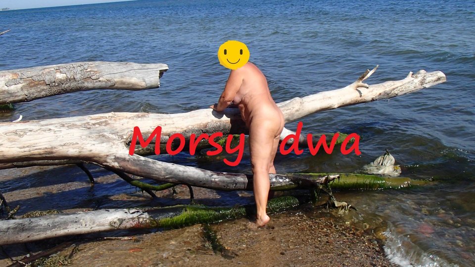 Zbiornik - Morsy_dwa