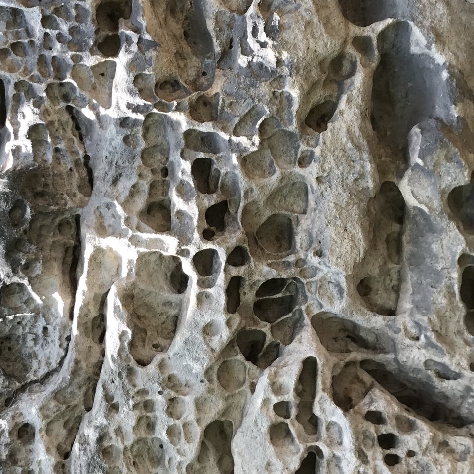 D68DEC55-C115-45D2-B0DD-4126B1D9EAD3.jpeg - Mekagojiranogyakushu