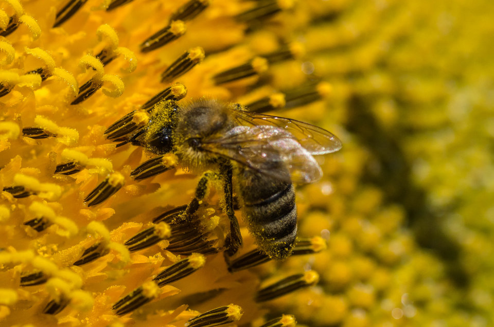 Z przypudrowanym noskiem - mystic