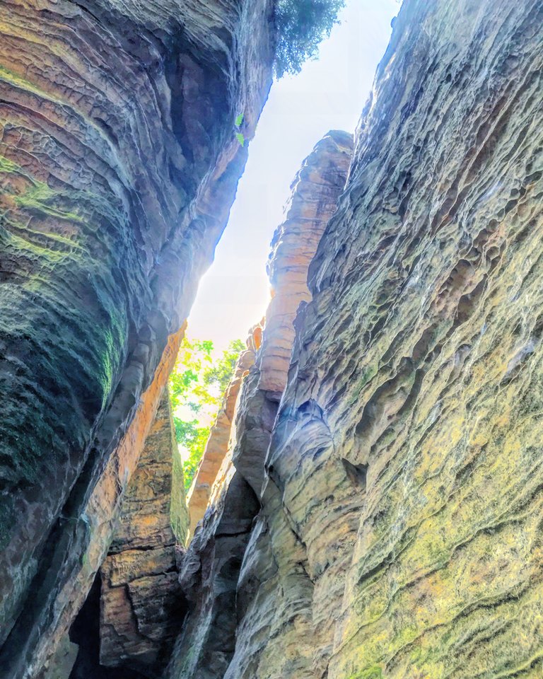 F2C1CB5F-F883-4B51-BD69-A57881481678.jpeg - Mekagojiranogyakushu