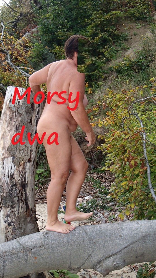. - Morsy_dwa