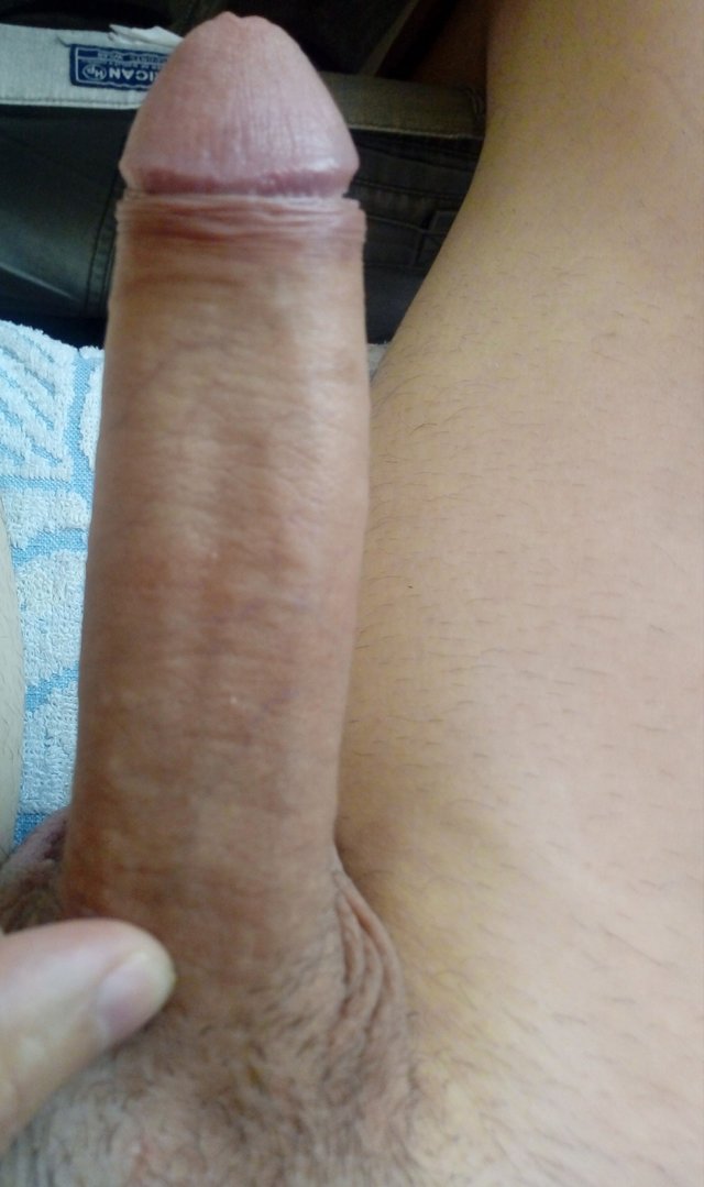 wolny856