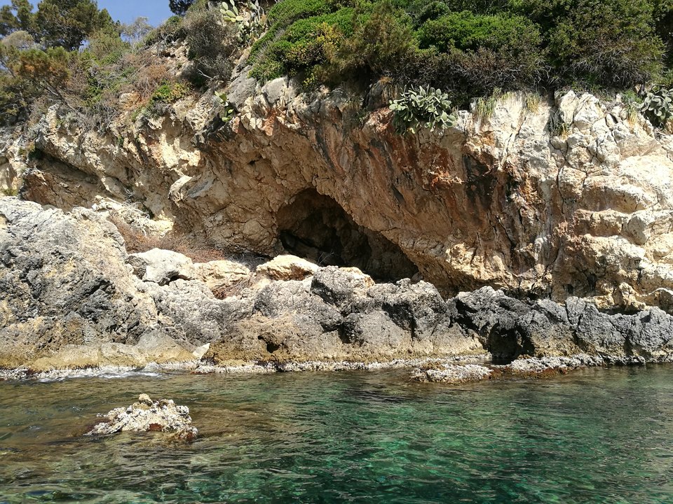 IMG_20180502_092755.jpg - Swingersii