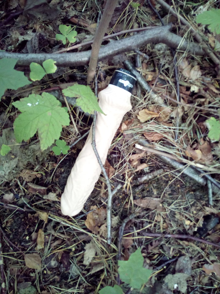 IMG_20180827_144845.jpg - wawateam