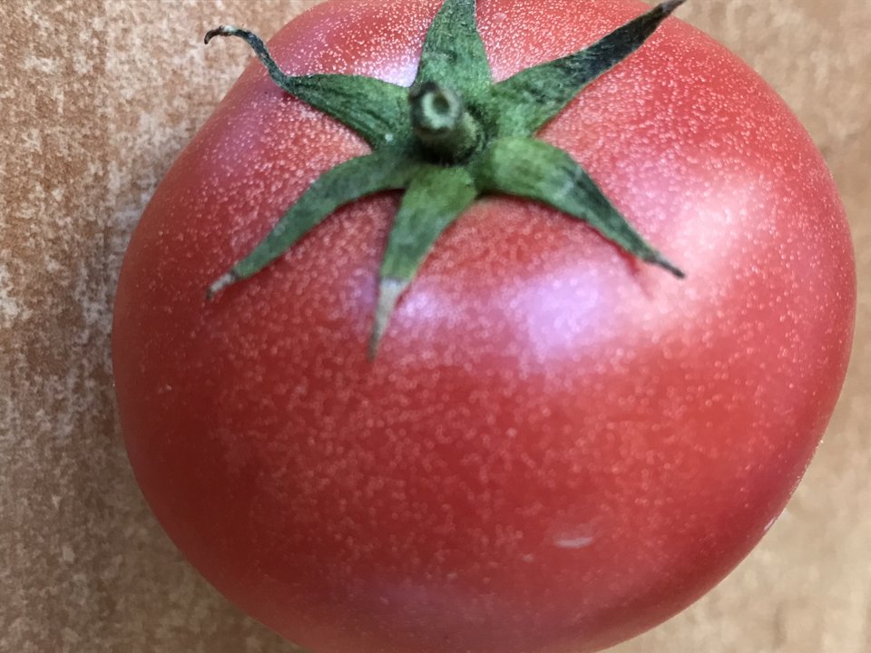 jaki pomidor każdy widzi 😛 - IIroniaa