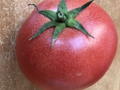 jaki pomidor każdy widzi 😛