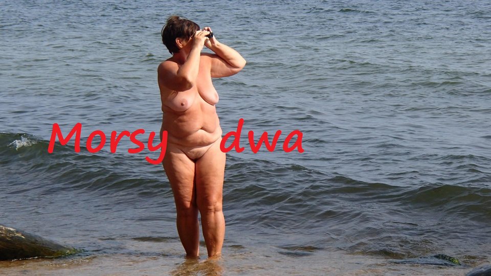 Nad morzem - Morsy_dwa
