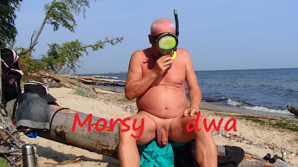 Nad morzem - Morsy_dwa