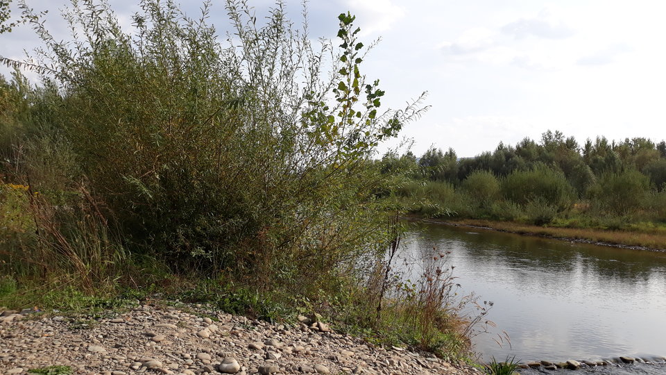 20180830_162357.jpg - DRX001