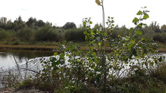 20180830_162349.jpg
