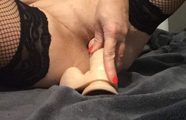 IMG_8260.JPG - agi3105