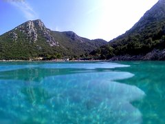 CRO..jpg