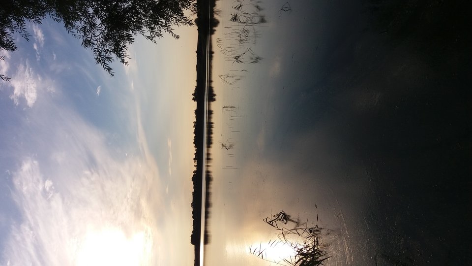 20180902_180440.jpg - Tomaj86