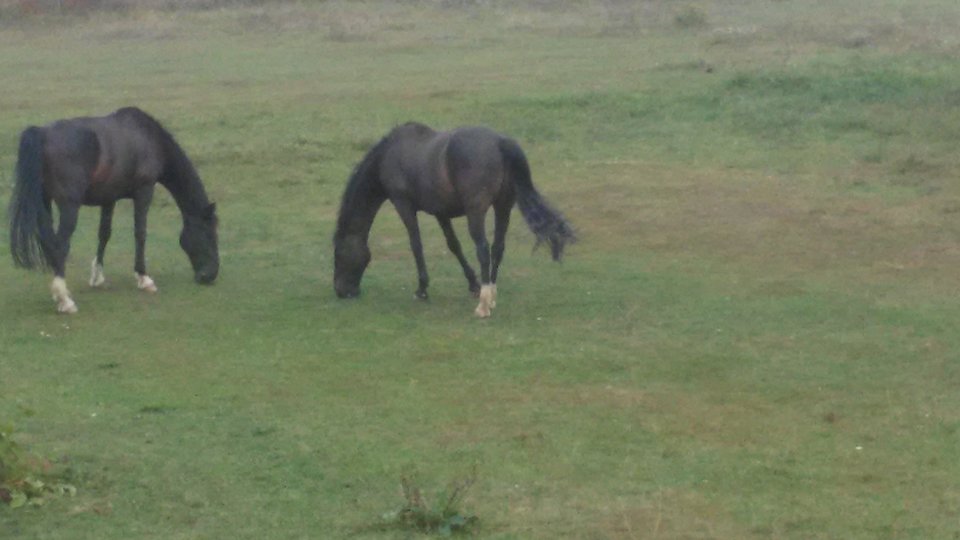 20180903_142107.jpg - kasiap1