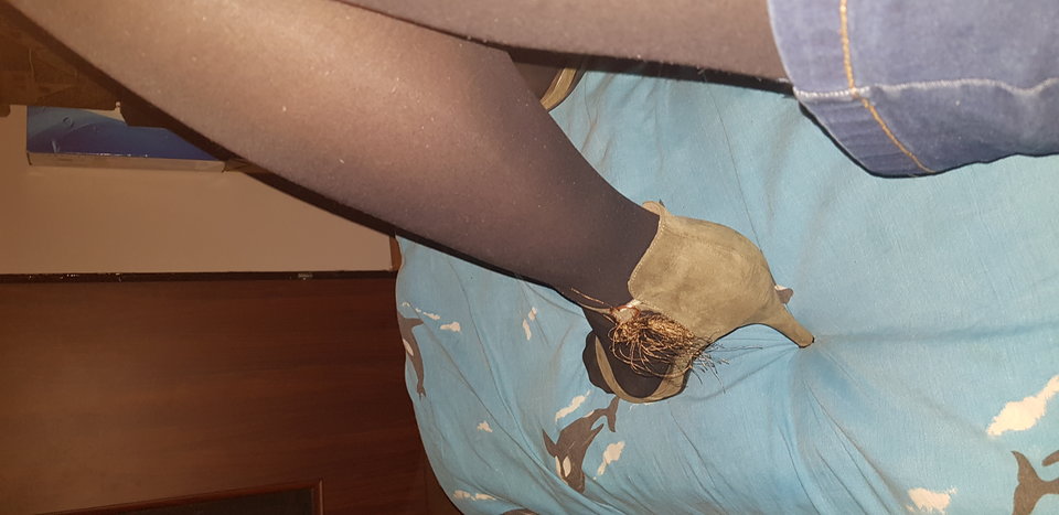 20180901_231110.jpg - paulinatrans1