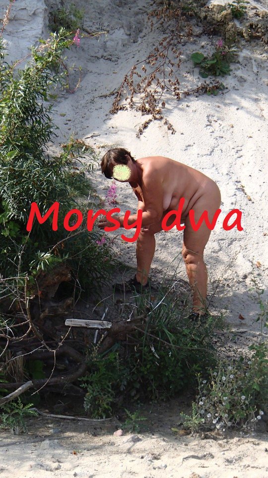 BD - Morsy_dwa