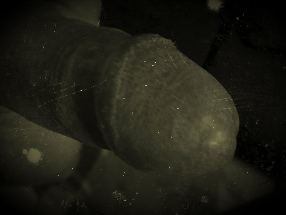 IMG_20180907_235608.jpg - kochas83