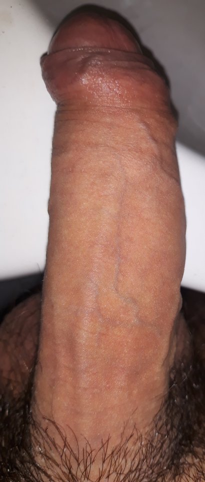 20180908_061259.jpg - karlito180