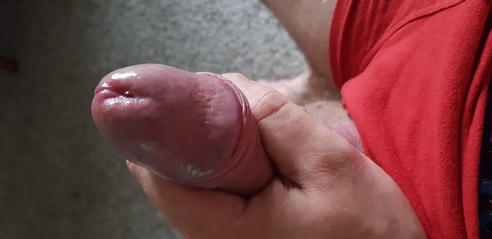 20180908_080039.jpg - Zminimalizowany