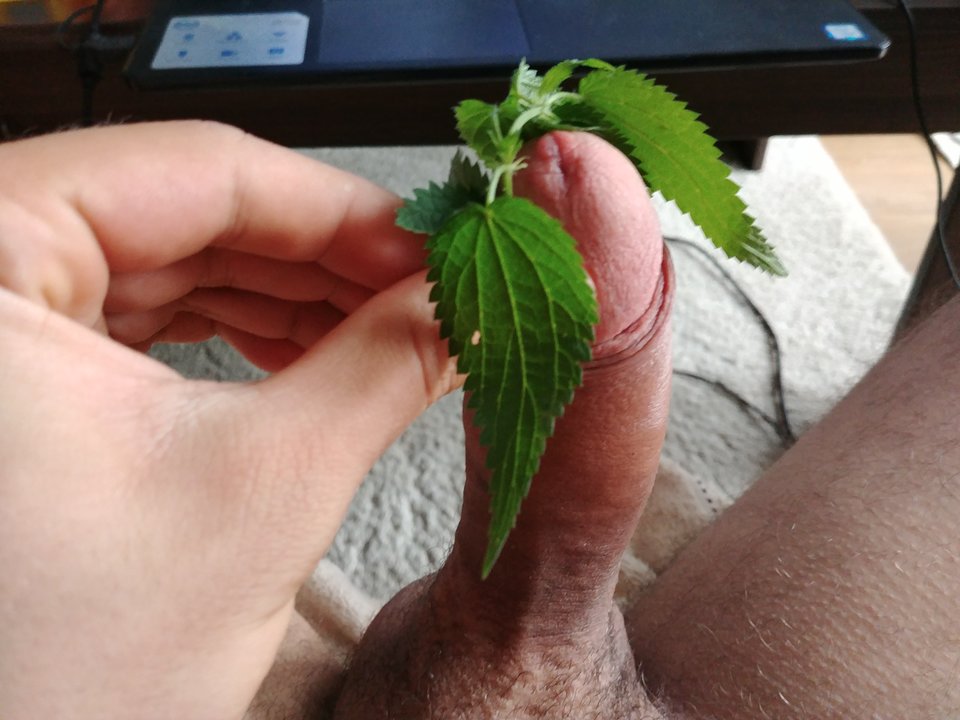 20180908_152623_Burst02.jpg - malutki8711